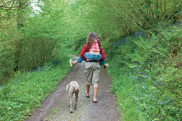Classic Green holiday cottages. (Image of a walk through a green woodland scene) Classic Green holiday cottages. (Image of a walk through a green woodland scene)